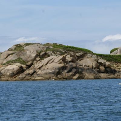 Petite croisière autour de l'île Callot - juillet 2020