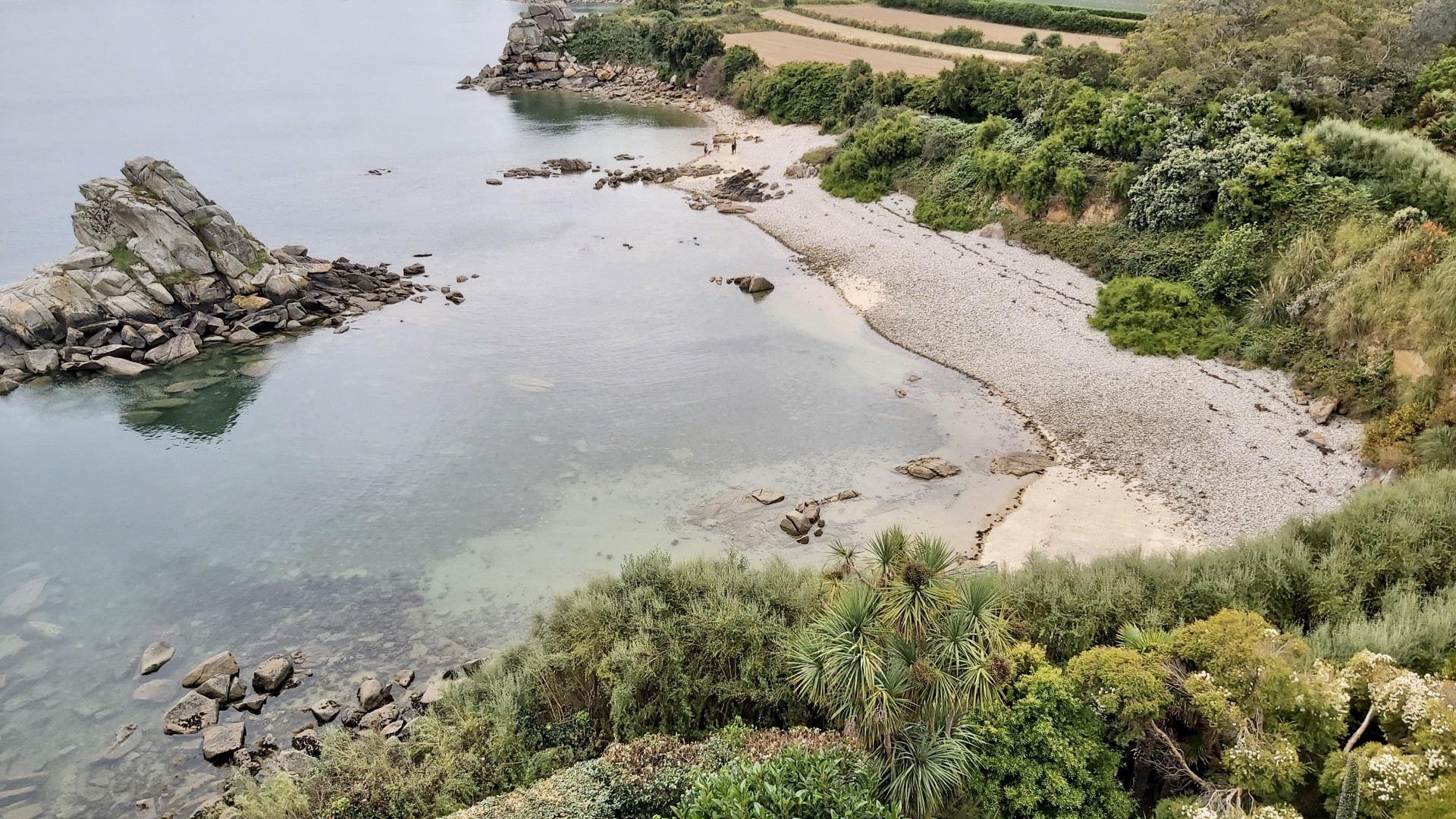 Vue depuis le jardin exotique de Roscoff