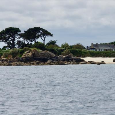 Petite croisière autour de l'île Callot - juillet 2020