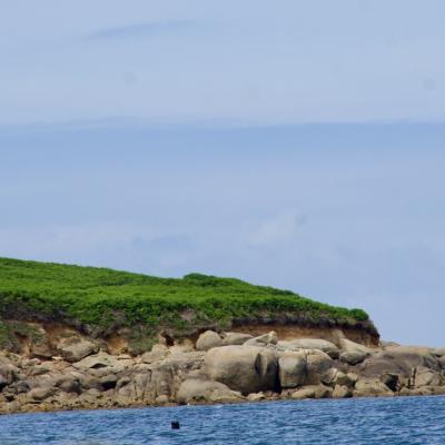 Petite croisière autour de l'île Callot - juillet 2020