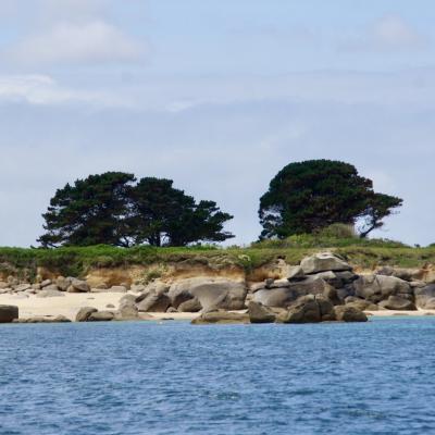 Petite croisière autour de l'île Callot - juillet 2020