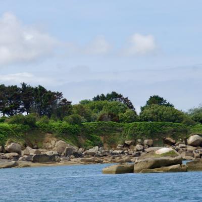 Petite croisière autour de l'île Callot - juillet 2020