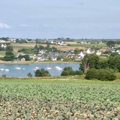 St Yves - La panzé vue de St Pol juste à côté de la maison