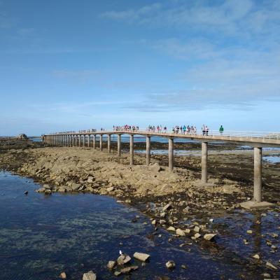 Roscoff embarcadère pour l'Ile de Batz